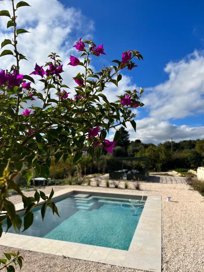 Villa Ada-Trulli Puglia マルティナ・フランカ エクステリア 写真