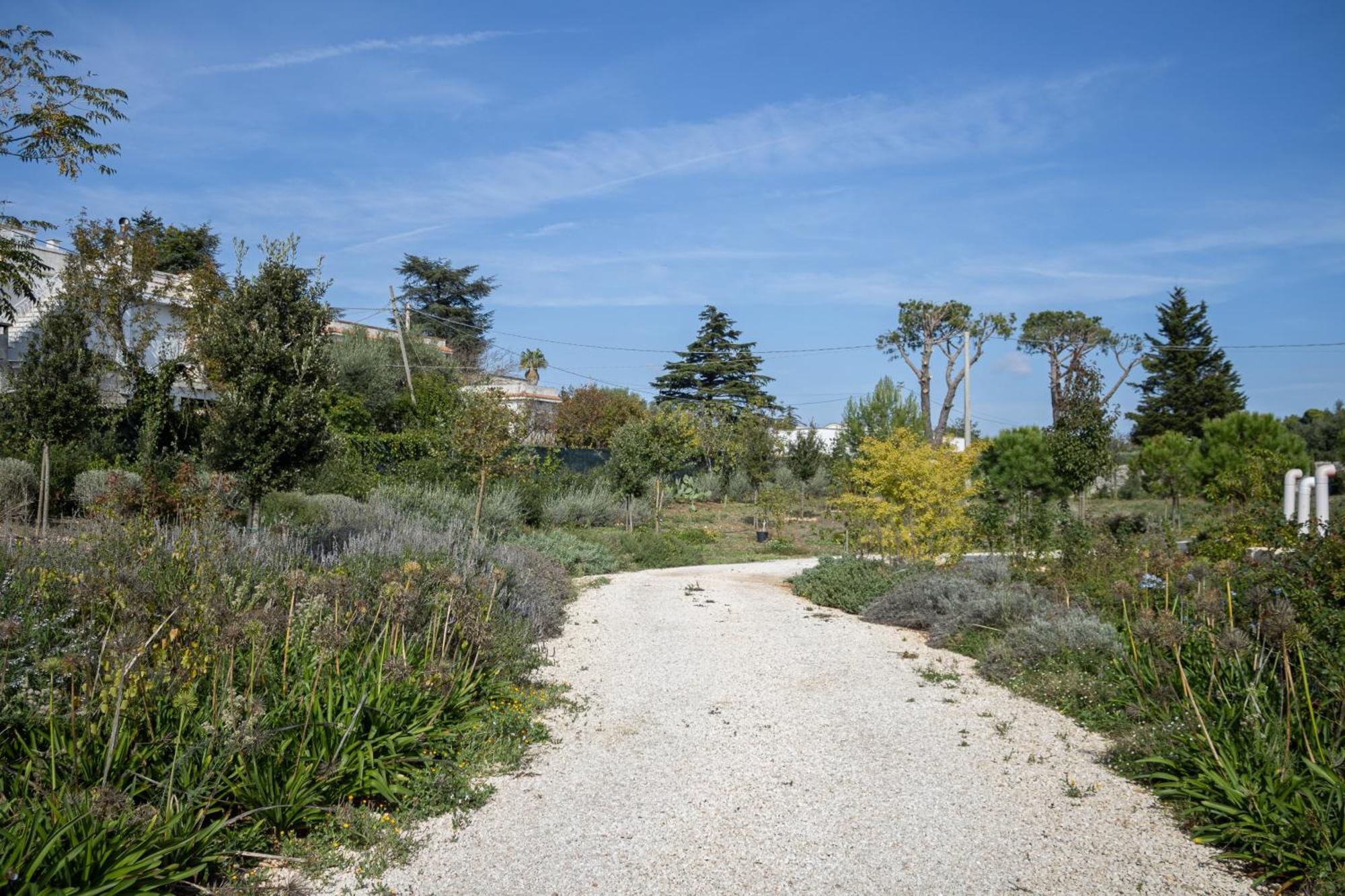 Villa Ada-Trulli Puglia マルティナ・フランカ エクステリア 写真