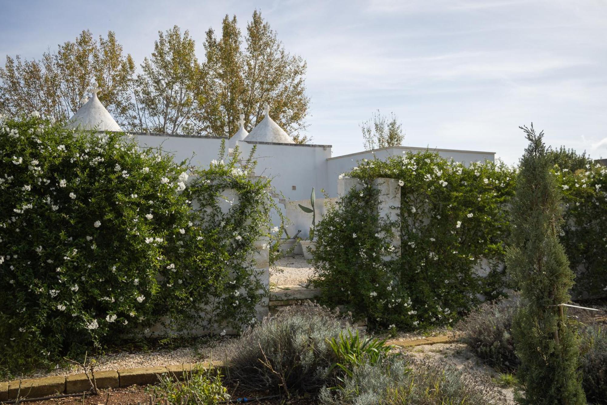 Villa Ada-Trulli Puglia マルティナ・フランカ エクステリア 写真